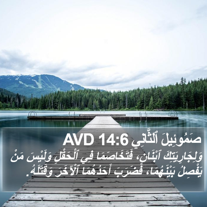 صَمُوئِيلَ ٱلثَّانِي 14:6 AVD Bible Study