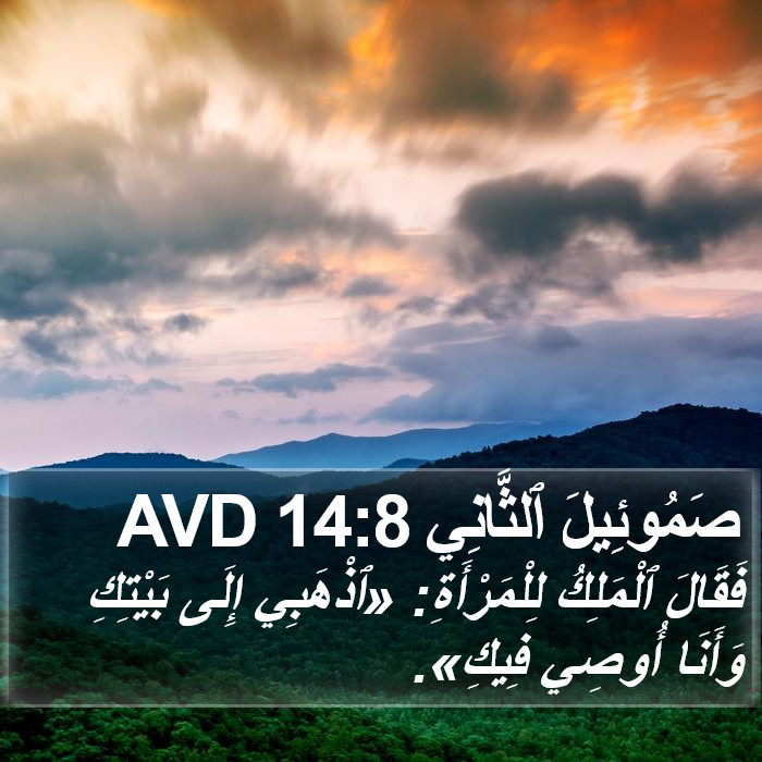 صَمُوئِيلَ ٱلثَّانِي 14:8 AVD Bible Study