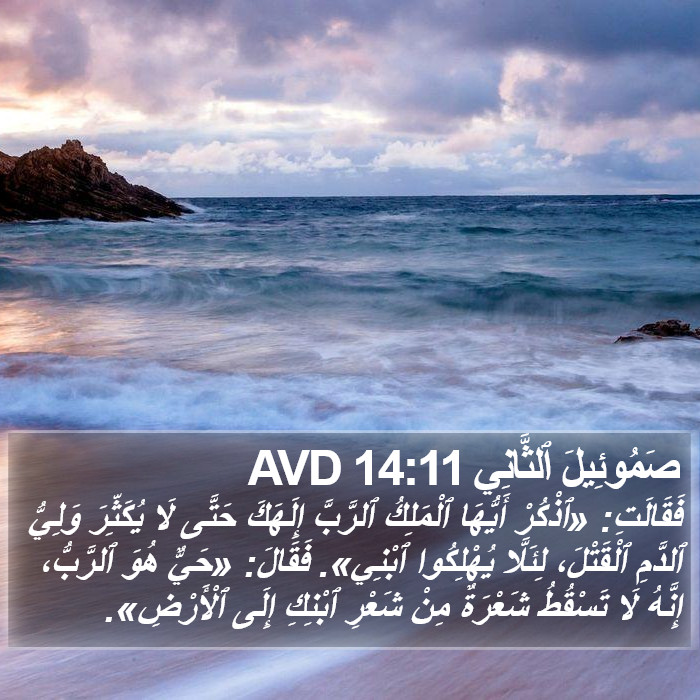 صَمُوئِيلَ ٱلثَّانِي 14:11 AVD Bible Study