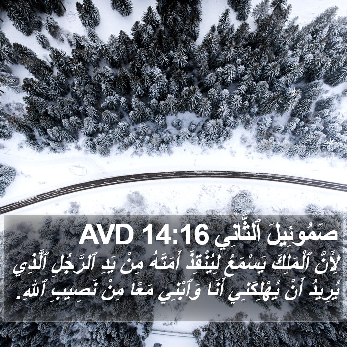 صَمُوئِيلَ ٱلثَّانِي 14:16 AVD Bible Study