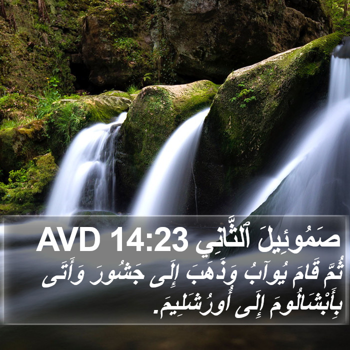 صَمُوئِيلَ ٱلثَّانِي 14:23 AVD Bible Study