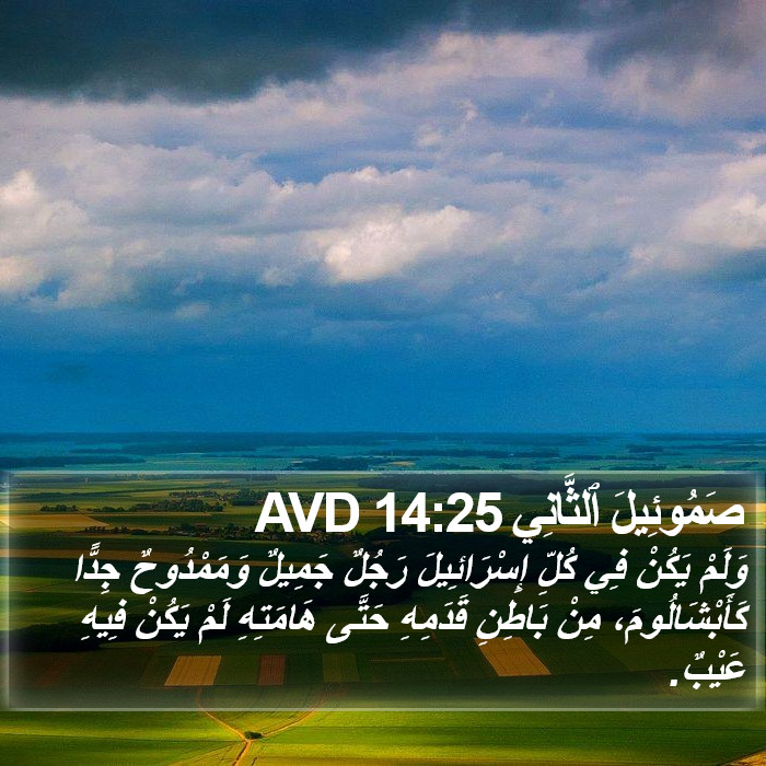 صَمُوئِيلَ ٱلثَّانِي 14:25 AVD Bible Study