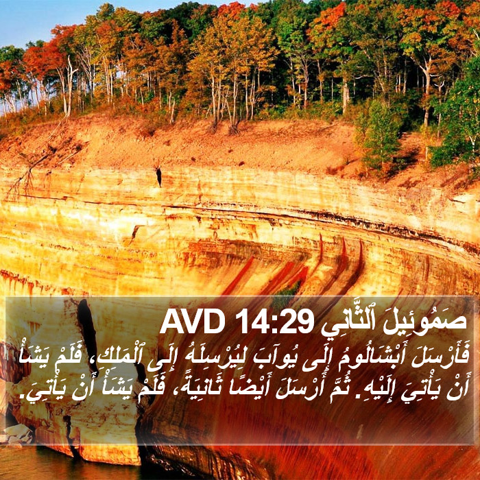 صَمُوئِيلَ ٱلثَّانِي 14:29 AVD Bible Study