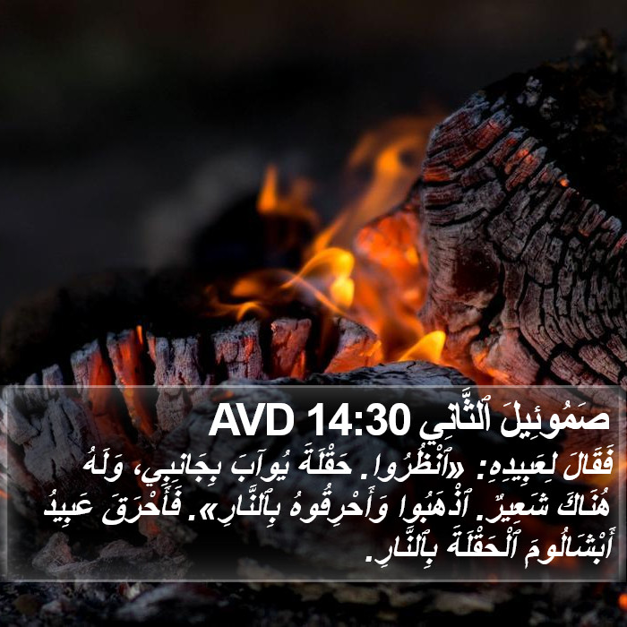 صَمُوئِيلَ ٱلثَّانِي 14:30 AVD Bible Study