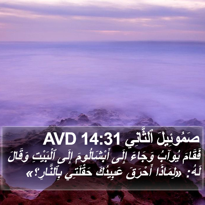 صَمُوئِيلَ ٱلثَّانِي 14:31 AVD Bible Study