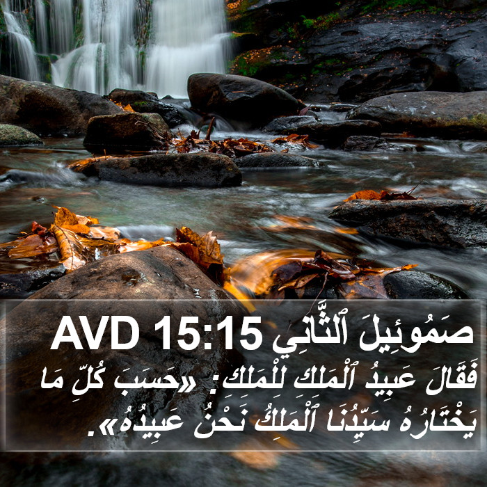 صَمُوئِيلَ ٱلثَّانِي 15:15 AVD Bible Study