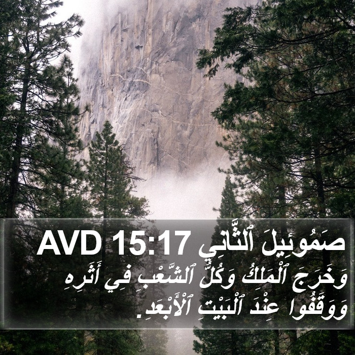 صَمُوئِيلَ ٱلثَّانِي 15:17 AVD Bible Study