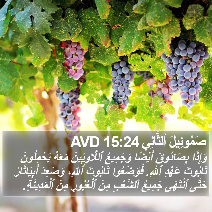 صَمُوئِيلَ ٱلثَّانِي 15:24 AVD Bible Study