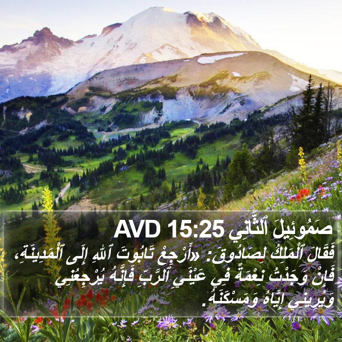 صَمُوئِيلَ ٱلثَّانِي 15:25 AVD Bible Study