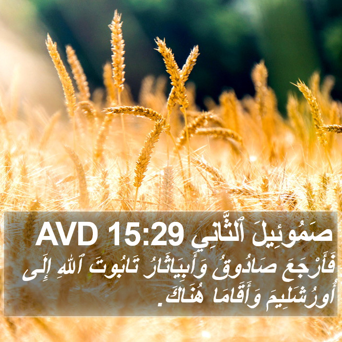 صَمُوئِيلَ ٱلثَّانِي 15:29 AVD Bible Study