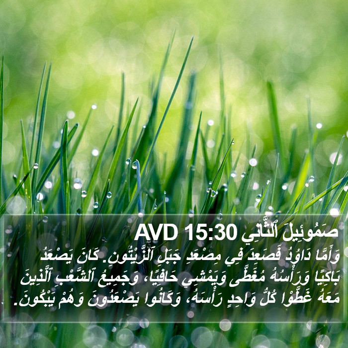 صَمُوئِيلَ ٱلثَّانِي 15:30 AVD Bible Study