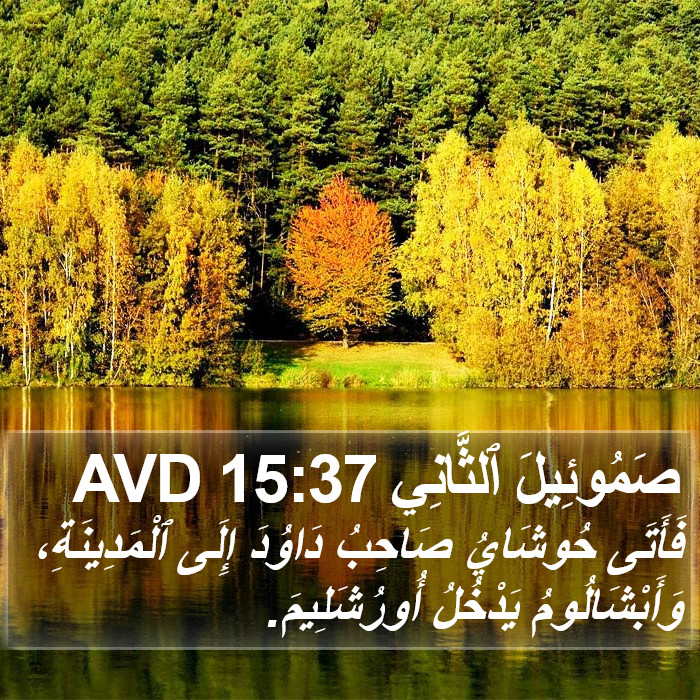 صَمُوئِيلَ ٱلثَّانِي 15:37 AVD Bible Study