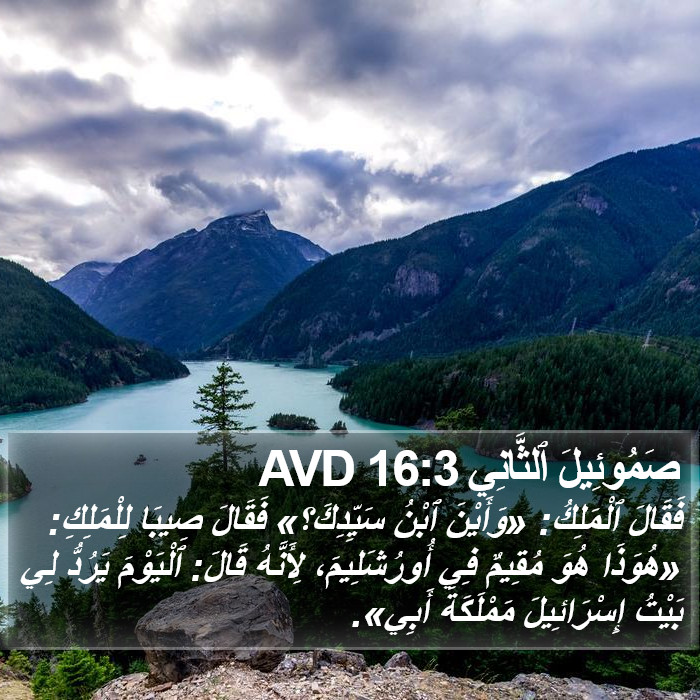 صَمُوئِيلَ ٱلثَّانِي 16:3 AVD Bible Study