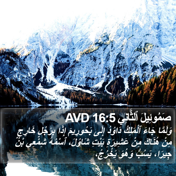 صَمُوئِيلَ ٱلثَّانِي 16:5 AVD Bible Study