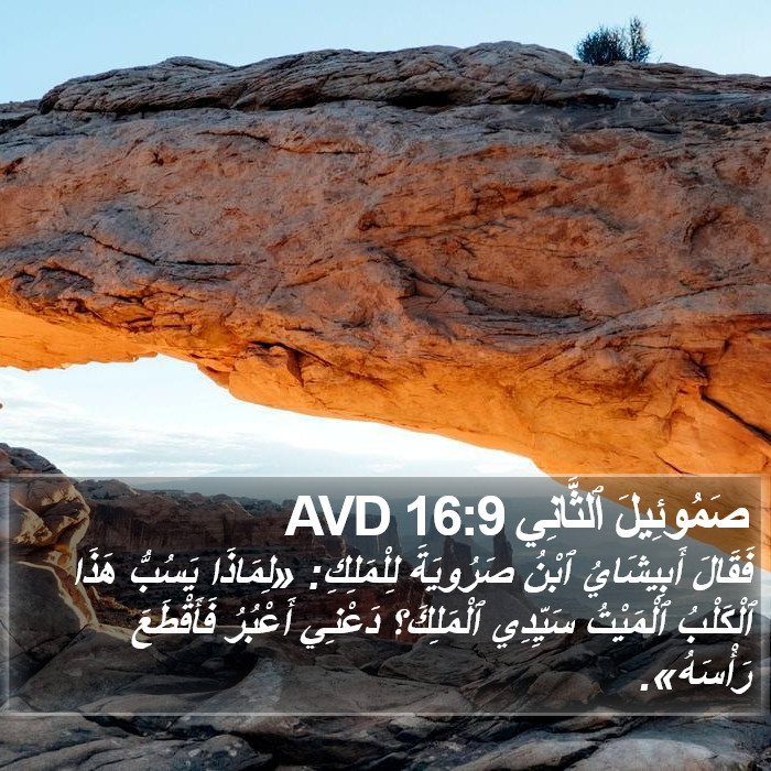 صَمُوئِيلَ ٱلثَّانِي 16:9 AVD Bible Study