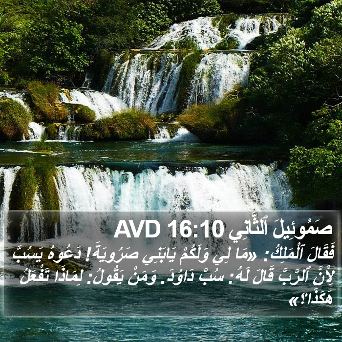صَمُوئِيلَ ٱلثَّانِي 16:10 AVD Bible Study