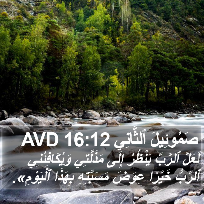 صَمُوئِيلَ ٱلثَّانِي 16:12 AVD Bible Study