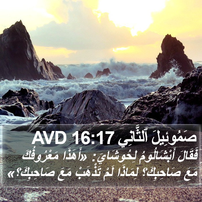 صَمُوئِيلَ ٱلثَّانِي 16:17 AVD Bible Study