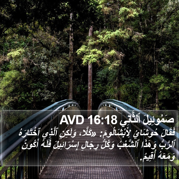 صَمُوئِيلَ ٱلثَّانِي 16:18 AVD Bible Study