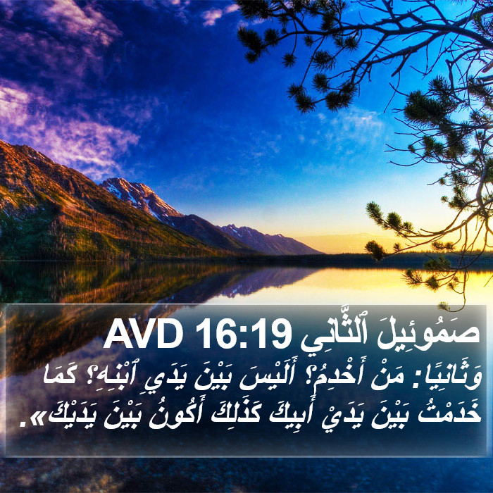 صَمُوئِيلَ ٱلثَّانِي 16:19 AVD Bible Study