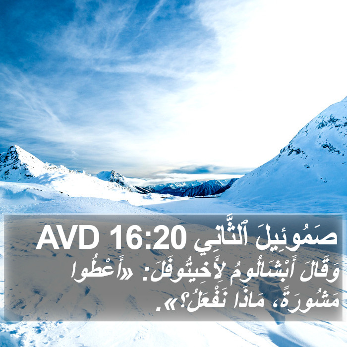 صَمُوئِيلَ ٱلثَّانِي 16:20 AVD Bible Study