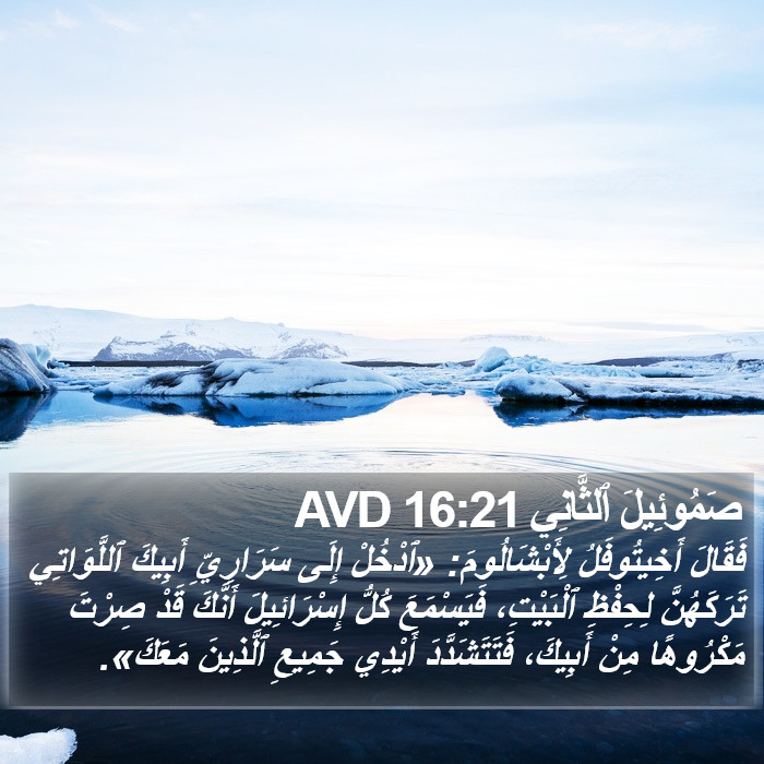 صَمُوئِيلَ ٱلثَّانِي 16:21 AVD Bible Study