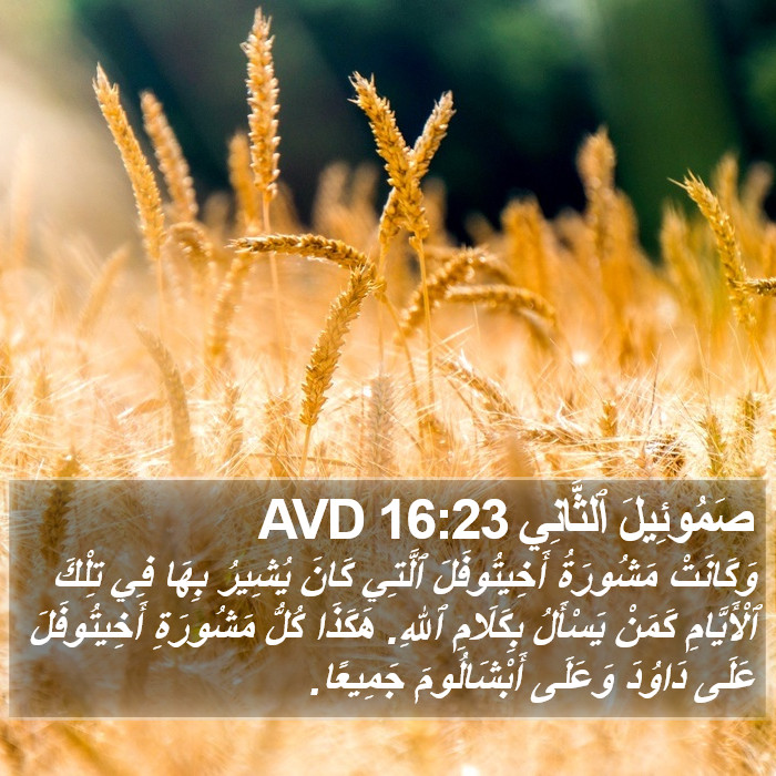 صَمُوئِيلَ ٱلثَّانِي 16:23 AVD Bible Study