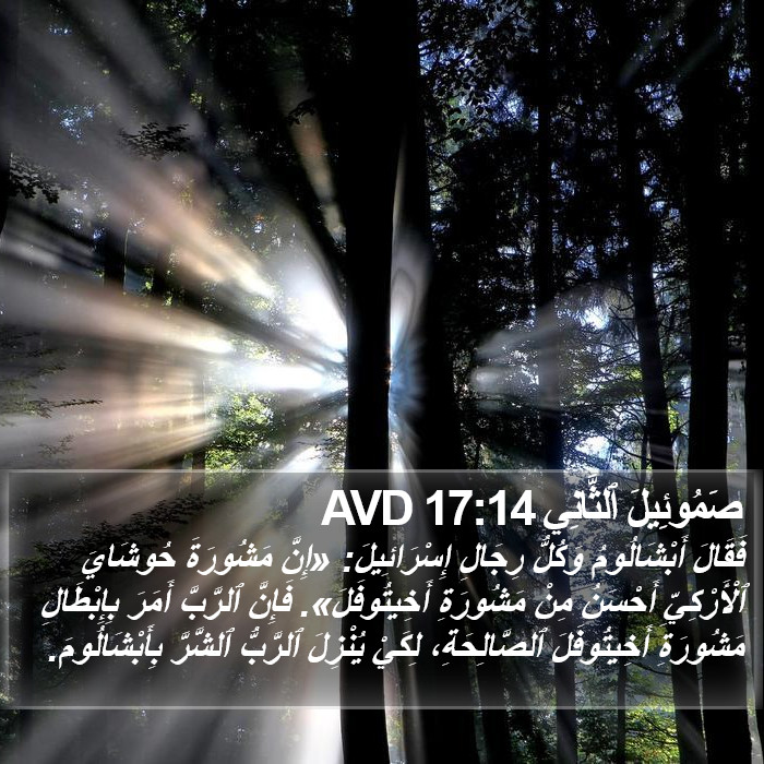 صَمُوئِيلَ ٱلثَّانِي 17:14 AVD Bible Study