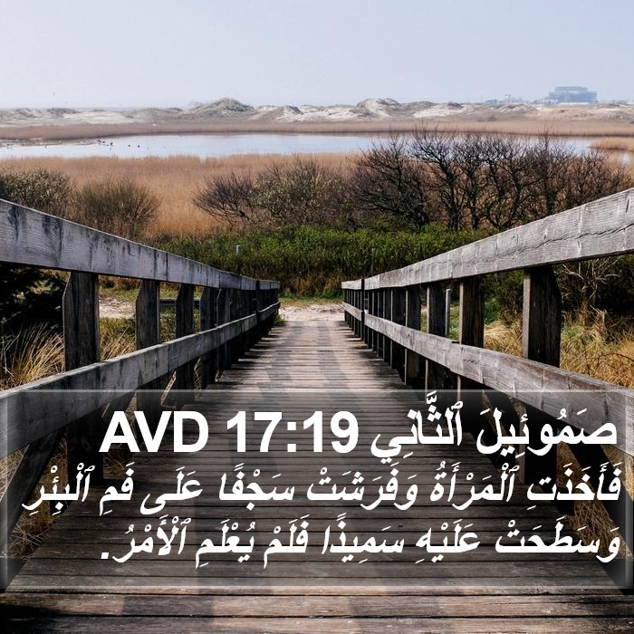 صَمُوئِيلَ ٱلثَّانِي 17:19 AVD Bible Study
