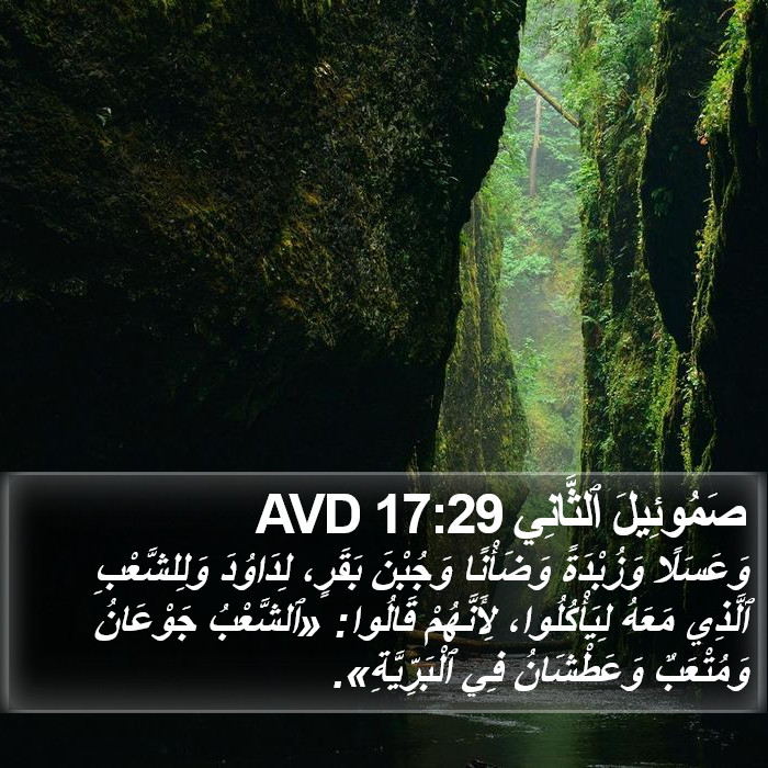 صَمُوئِيلَ ٱلثَّانِي 17:29 AVD Bible Study