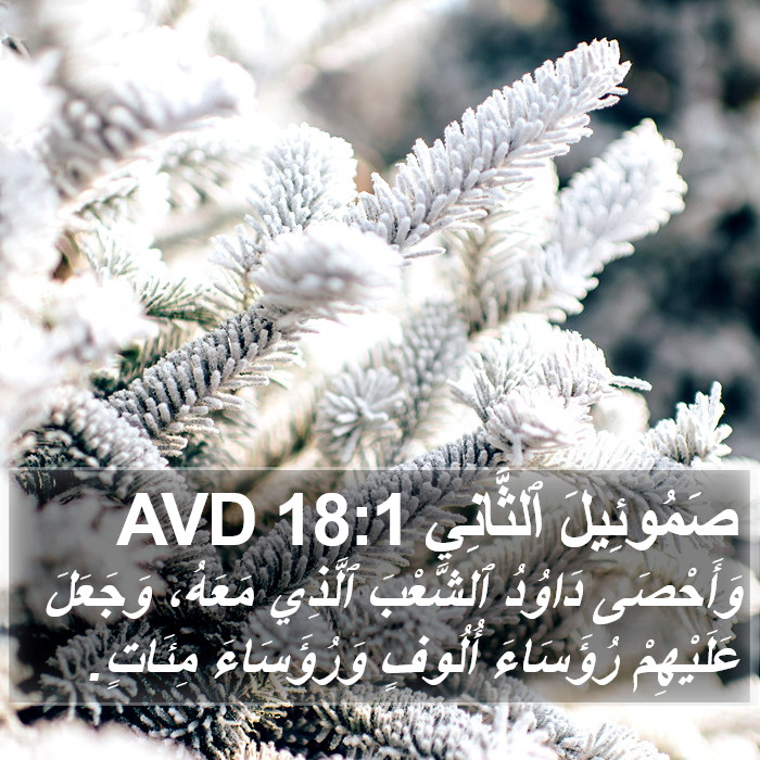 صَمُوئِيلَ ٱلثَّانِي 18:1 AVD Bible Study