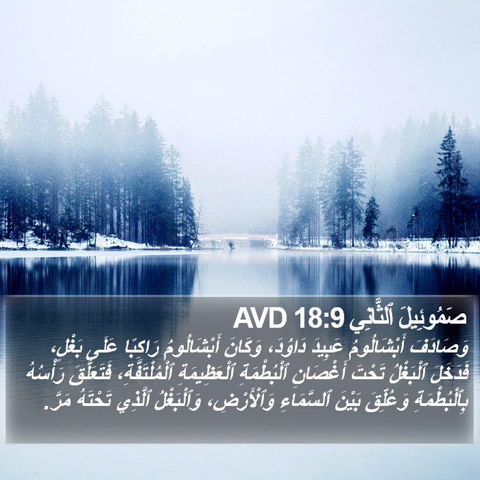 صَمُوئِيلَ ٱلثَّانِي 18:9 AVD Bible Study