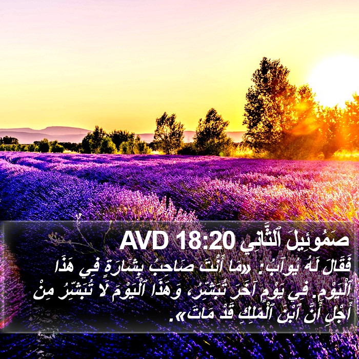 صَمُوئِيلَ ٱلثَّانِي 18:20 AVD Bible Study