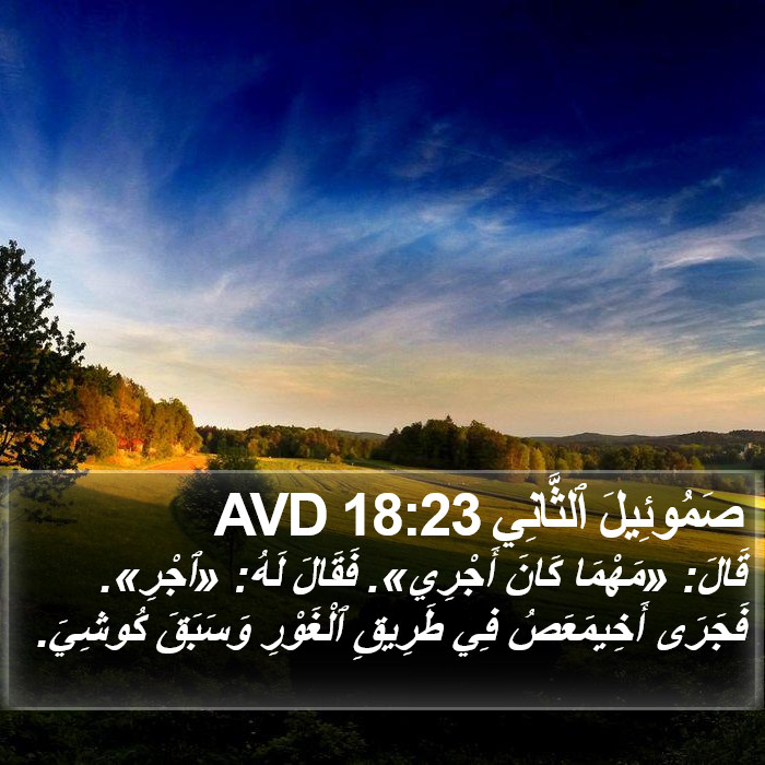 صَمُوئِيلَ ٱلثَّانِي 18:23 AVD Bible Study