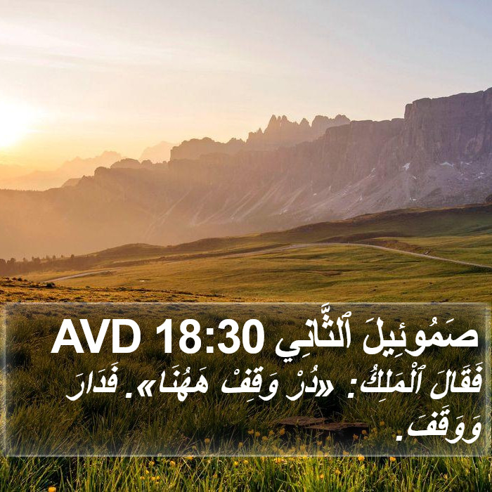 صَمُوئِيلَ ٱلثَّانِي 18:30 AVD Bible Study