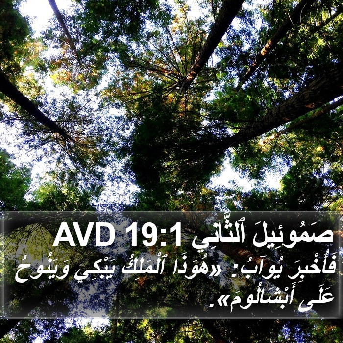 صَمُوئِيلَ ٱلثَّانِي 19:1 AVD Bible Study