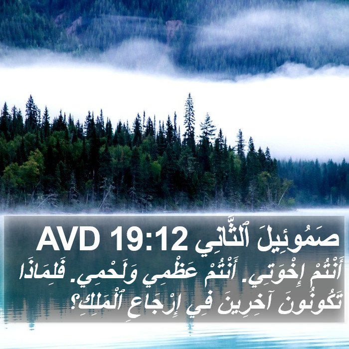 صَمُوئِيلَ ٱلثَّانِي 19:12 AVD Bible Study