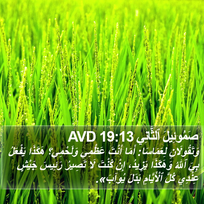 صَمُوئِيلَ ٱلثَّانِي 19:13 AVD Bible Study