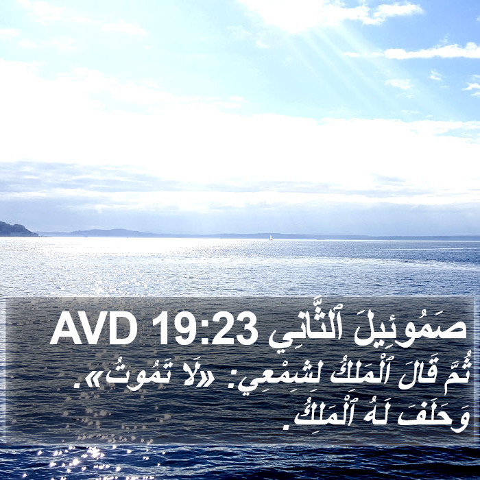 صَمُوئِيلَ ٱلثَّانِي 19:23 AVD Bible Study