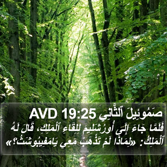 صَمُوئِيلَ ٱلثَّانِي 19:25 AVD Bible Study