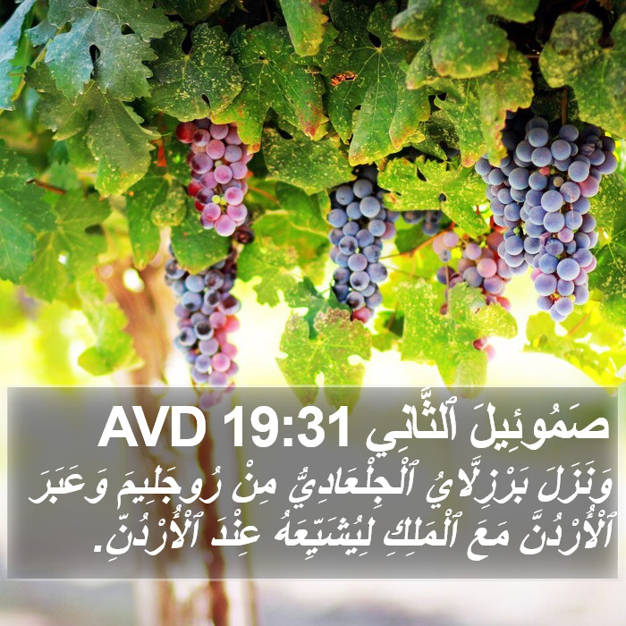 صَمُوئِيلَ ٱلثَّانِي 19:31 AVD Bible Study