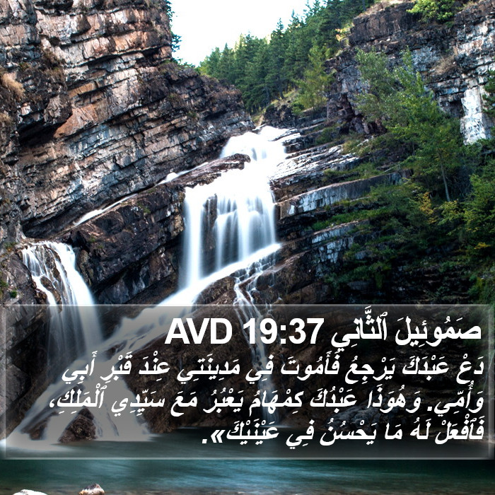 صَمُوئِيلَ ٱلثَّانِي 19:37 AVD Bible Study