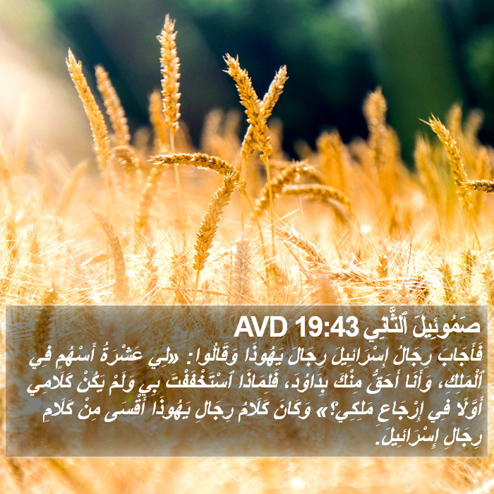 صَمُوئِيلَ ٱلثَّانِي 19:43 AVD Bible Study