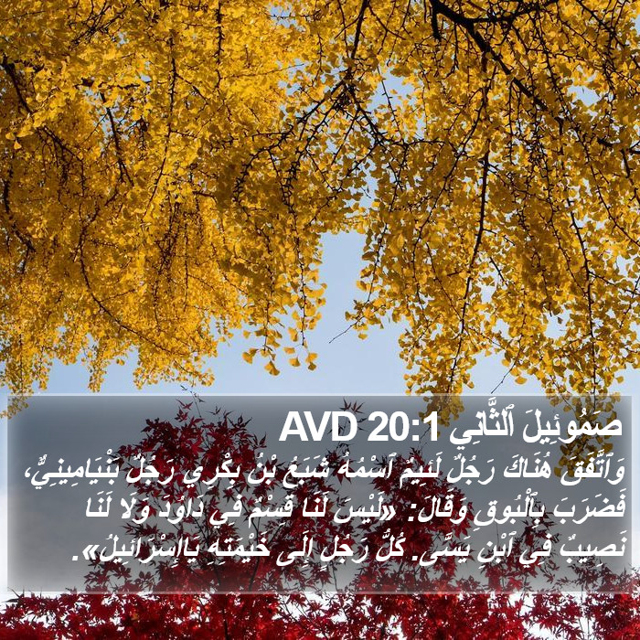 صَمُوئِيلَ ٱلثَّانِي 20:1 AVD Bible Study