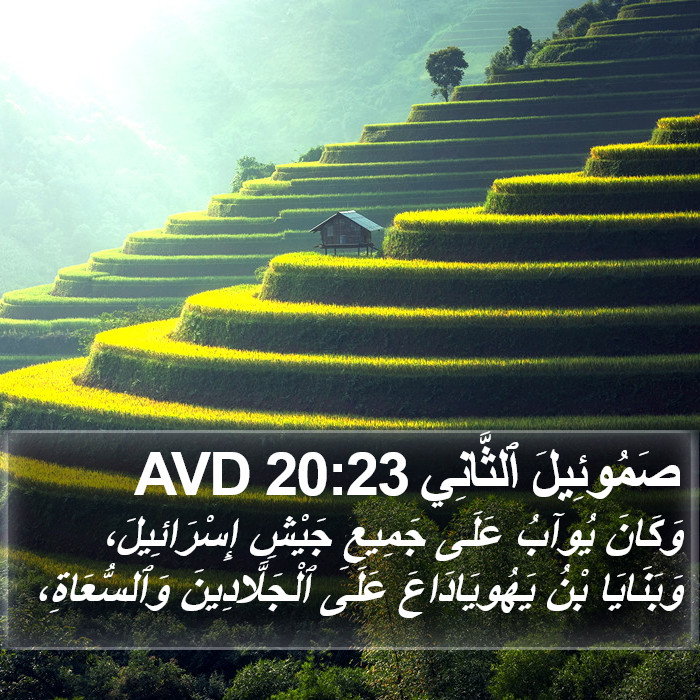 صَمُوئِيلَ ٱلثَّانِي 20:23 AVD Bible Study