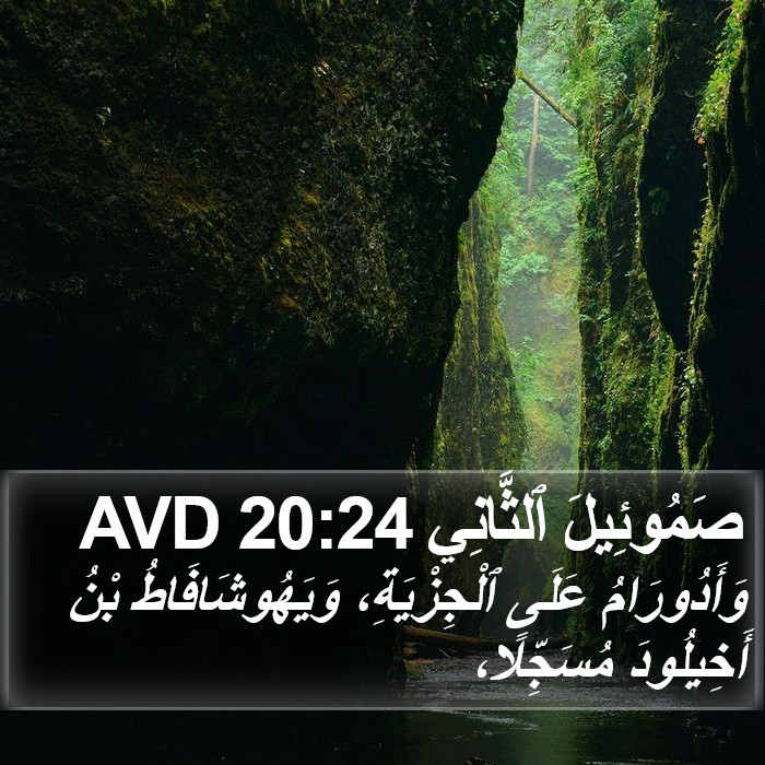 صَمُوئِيلَ ٱلثَّانِي 20:24 AVD Bible Study