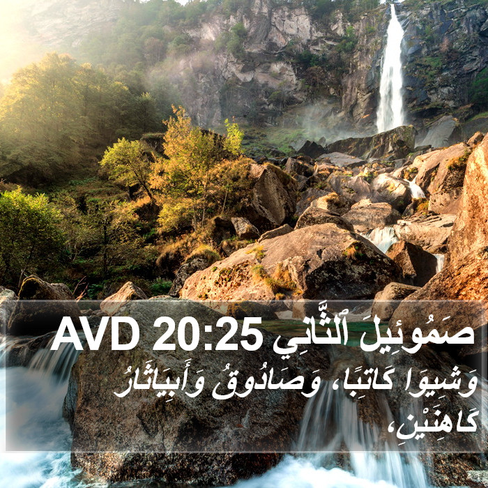 صَمُوئِيلَ ٱلثَّانِي 20:25 AVD Bible Study