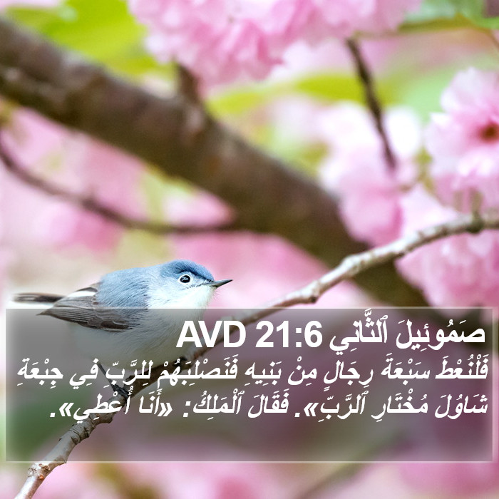 صَمُوئِيلَ ٱلثَّانِي 21:6 AVD Bible Study