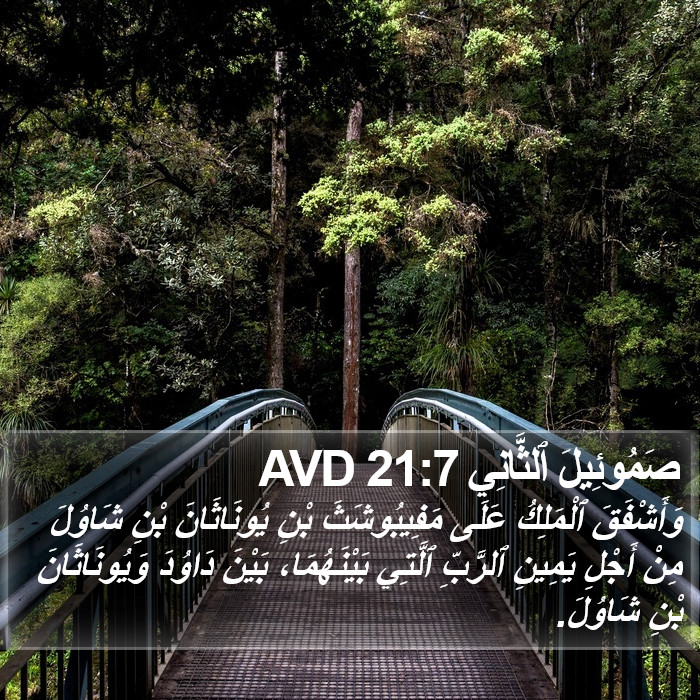 صَمُوئِيلَ ٱلثَّانِي 21:7 AVD Bible Study