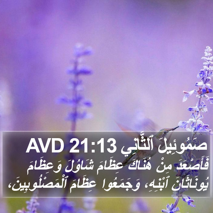 صَمُوئِيلَ ٱلثَّانِي 21:13 AVD Bible Study